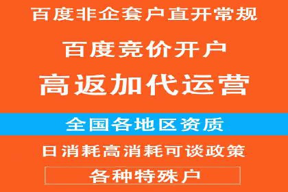 百度网络推广案例解析：成功企业如何实现品牌飞跃